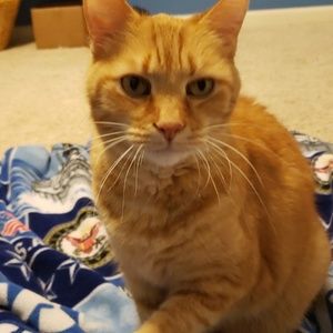 Meet your Posher, Mary